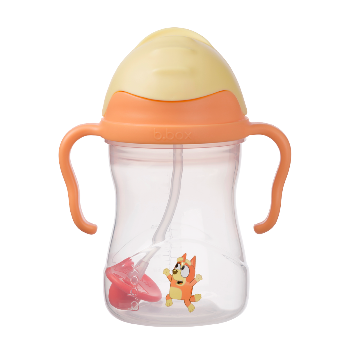 Bbox Sippy Cup - Bingo 240mL